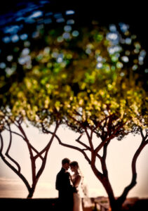 fotograf lubin, Para młoda stoi pod drzewemw Rzymie